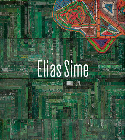 Elias Sime by Tracy L. Adler