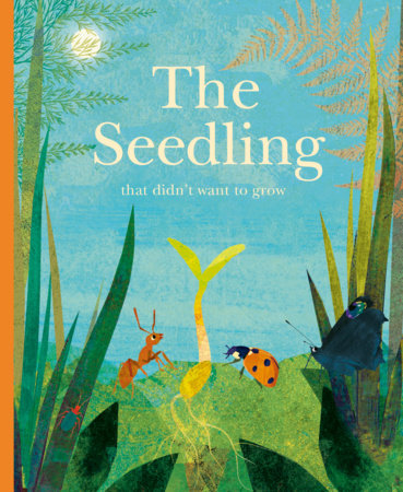 The Seedling That Didn't Want to Grow by Britta Teckentrup