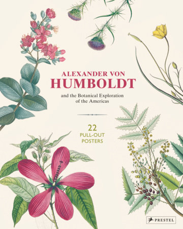 Alexander von Humboldt Botanical Illustrations by Otfried Baume