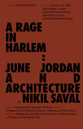Rage in Harlem by Nikil Saval