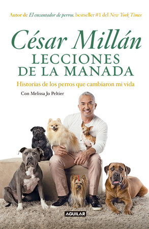 Lecciones de la manada / Cesar Millan's Lessons From the Pack by Cesar Millan