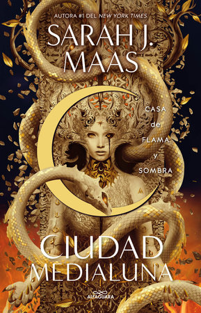 Casa de flama y sombra / House of Flame and Shadow. by Sarah J. Maas