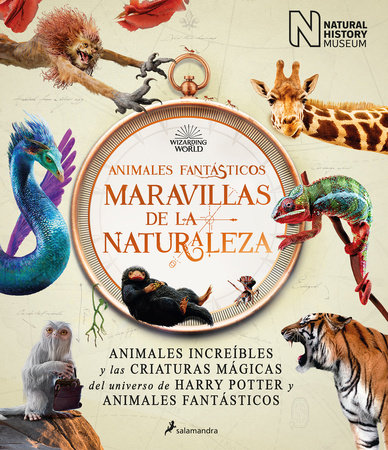 Animales fantásticos maravillas de la naturaleza / Fantastic Animals, Wonders of Nature by The National History Museum