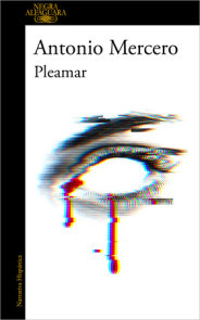 Pleamar / High Tide