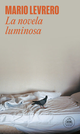 La novela luminosa / The Luminous Novel by Mario Levrero