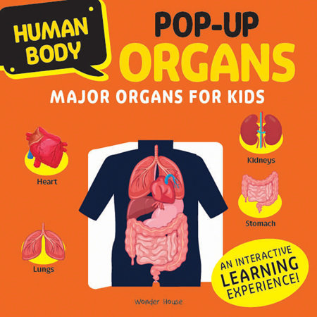 Human Body Pop-up ORGANS Major organs for Kids by Wonder House Books