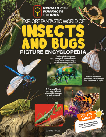 Explore Fantastic World of Insects And Bugs Picture Encyclopedia by Wonder House Books