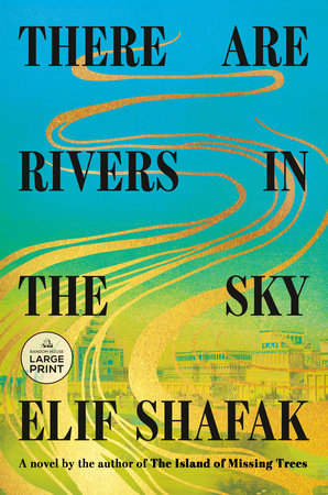 There Are Rivers in the Sky by Elif Shafak