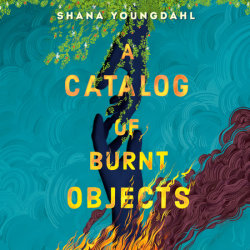 A Catalog of Burnt Objects