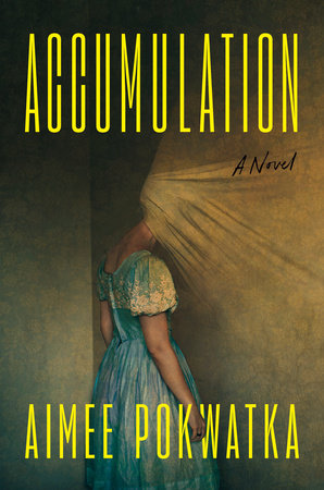Accumulation by Aimee Pokwatka