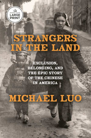 Strangers in the Land by Michael Luo