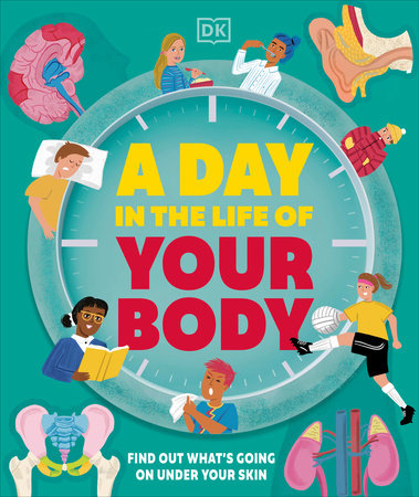 A Day in the Life of Your Body by DK