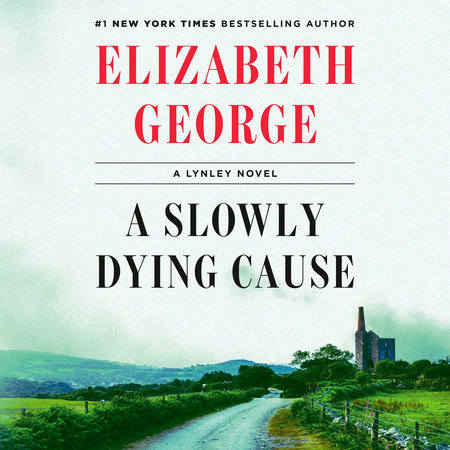 A Slowly Dying Cause by Elizabeth George