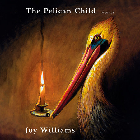 The Pelican Child by Joy Williams