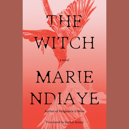The Witch by Marie NDiaye