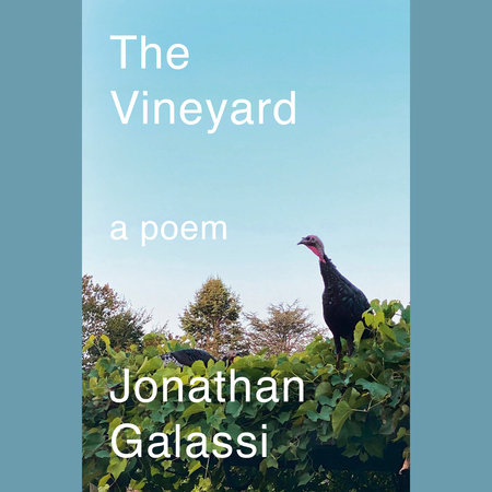 The Vineyard by Jonathan Galassi