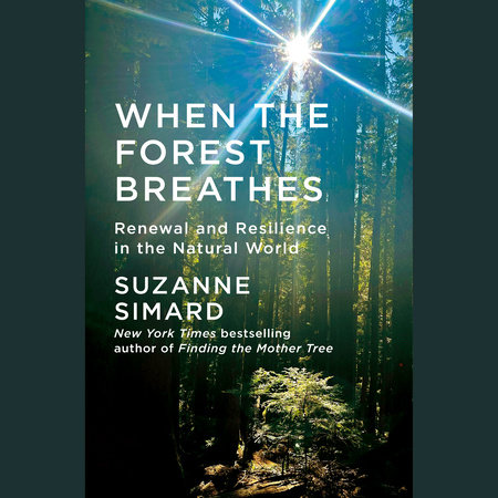 When the Forest Breathes by Suzanne Simard