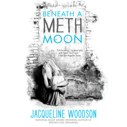 Beneath a Meth Moon