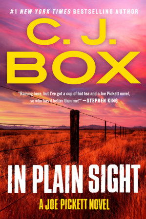 In Plain Sight by C. J. Box