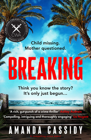 Breaking by Amanda Cassidy