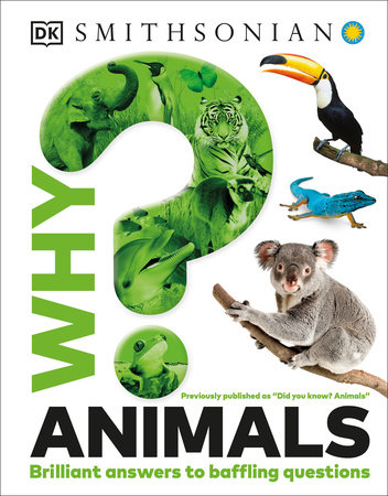 Why? Animals by DK