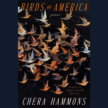 Birds of America by Chera Hammons