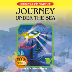 Journey Under the Sea