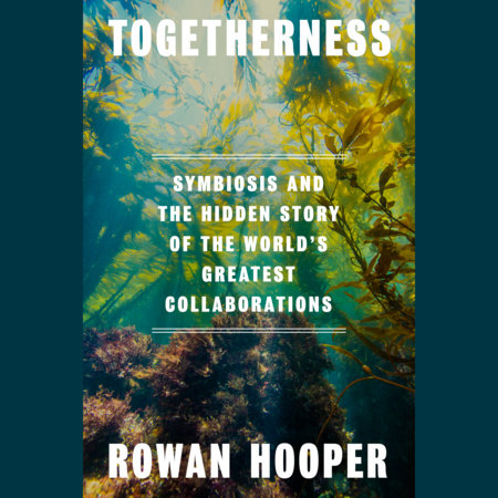 Togetherness by Rowan Hooper