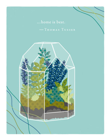 Positively Green Greeting Cards: New Home - Home is best (Pack of 6) by 