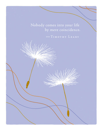 Positively Green Greeting Cards: Thank You - Nobody comes into your life by (Pack of 6) by 