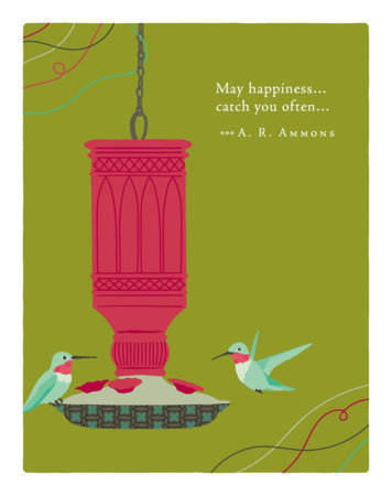 Positively Green Greeting Cards: Birthday - May happiness… catch you often… (Pack of 6) by 