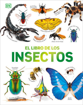 El libro de los insectos (Bugs, Butterflies, Beetles and Bees) by DK
