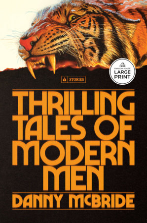 Thrilling Tales of Modern Men by Danny McBride