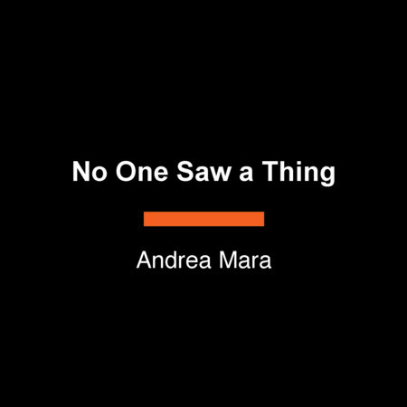 No One Saw a Thing by Andrea Mara