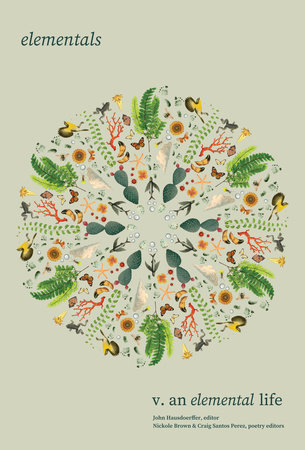 Elementals: An Elemental Life, Vol. 5 by 