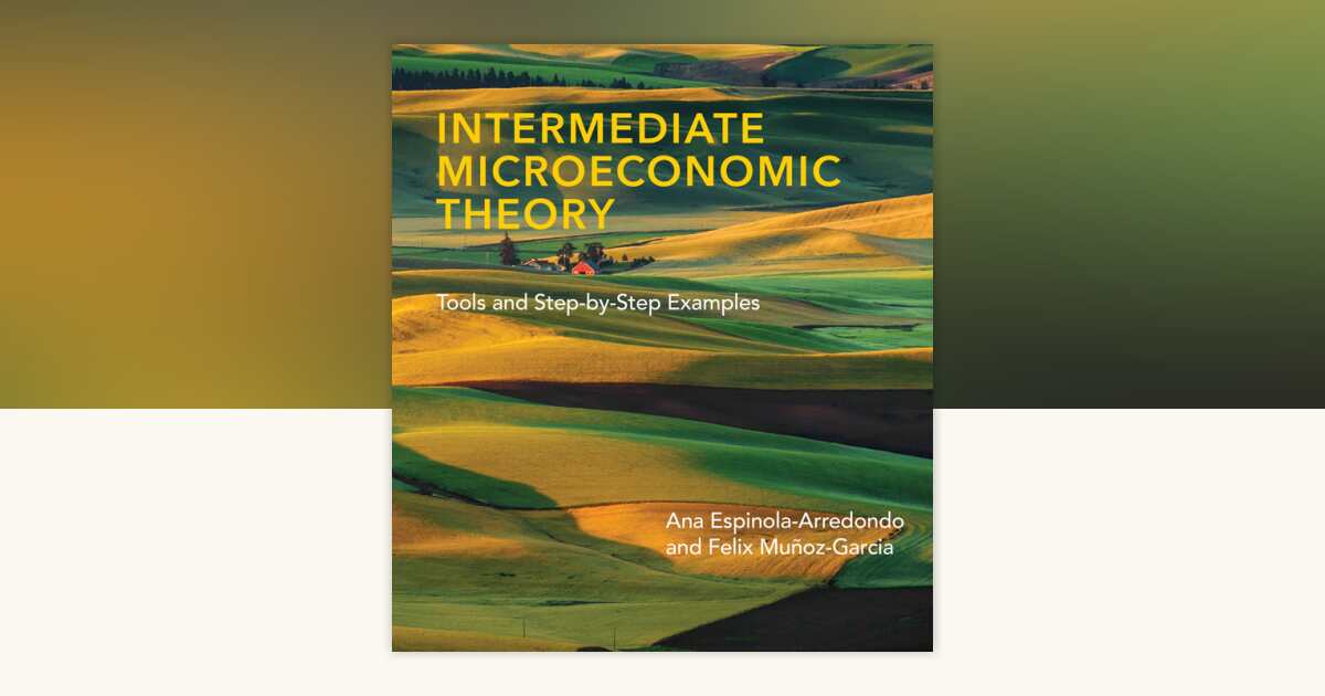 洋書 Microeconomic Theory Intermediate Microeconomic Theory by Ana Espinola-Arredondo, Felix