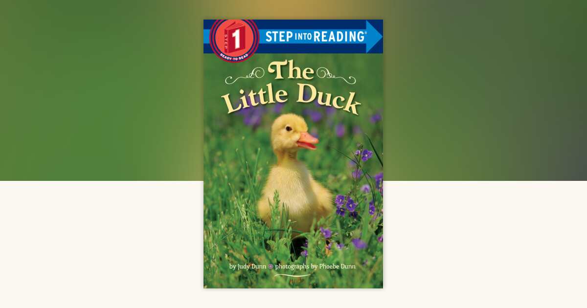 The Little Duck by Judy Dunn: 9780553533521 | PenguinRandomHouse.com: Books