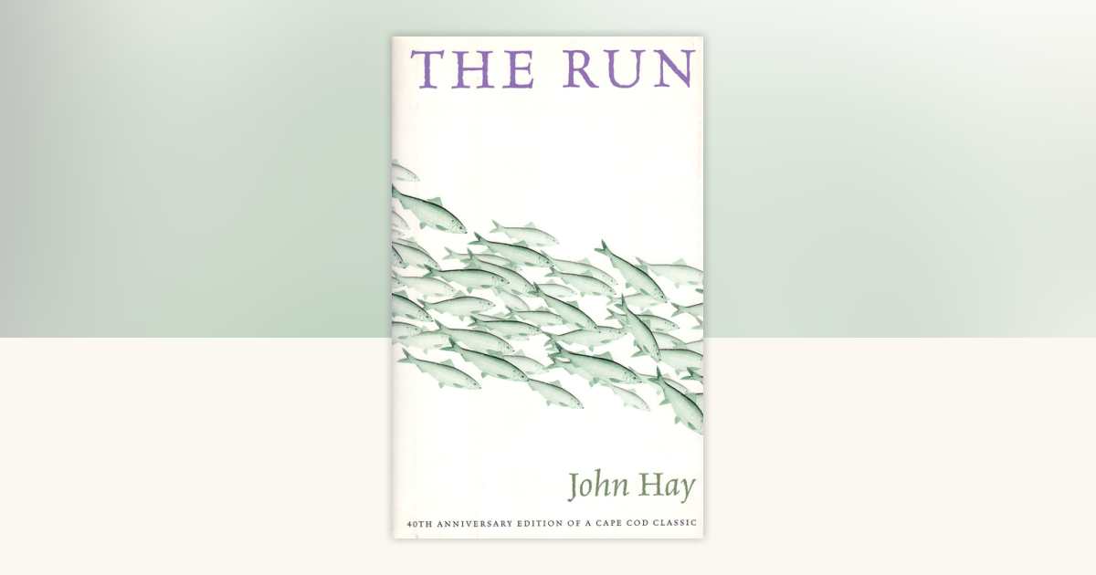 The Run by John Hay: 9780807085691 | PenguinRandomHouse.com: Books