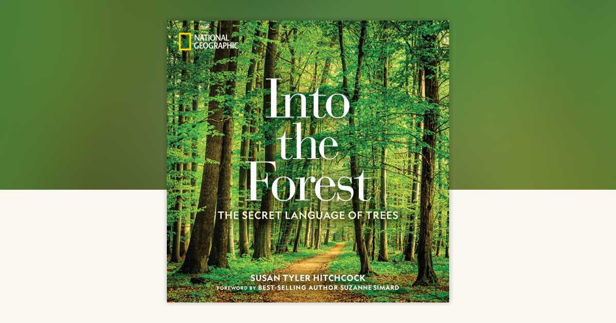 Into the Forest by Susan Tyler Hitchcock: 9781426218903 