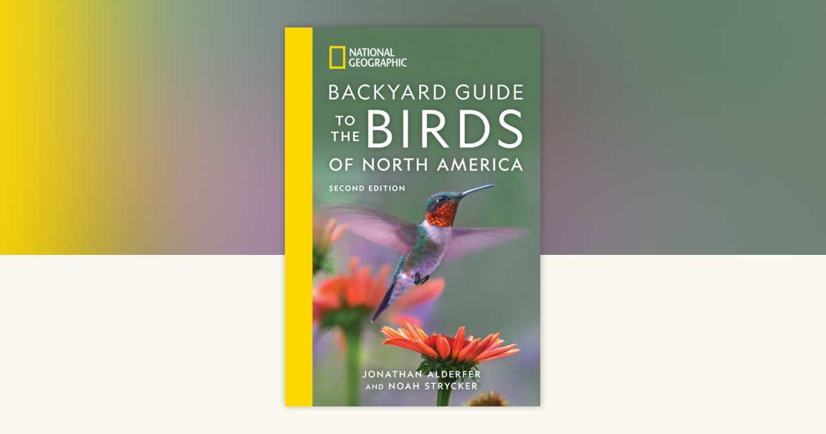 National Geographic Backyard Guide to the Birds of North America