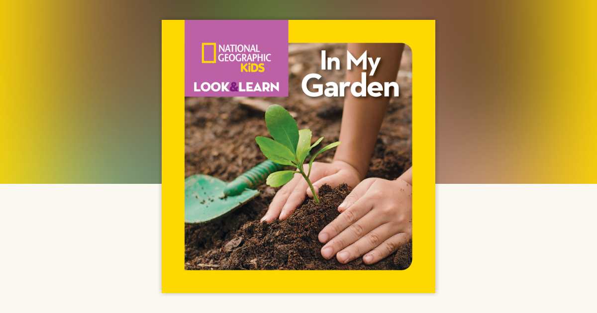 National Geographic Kids Look & Learn: In My Garden by National