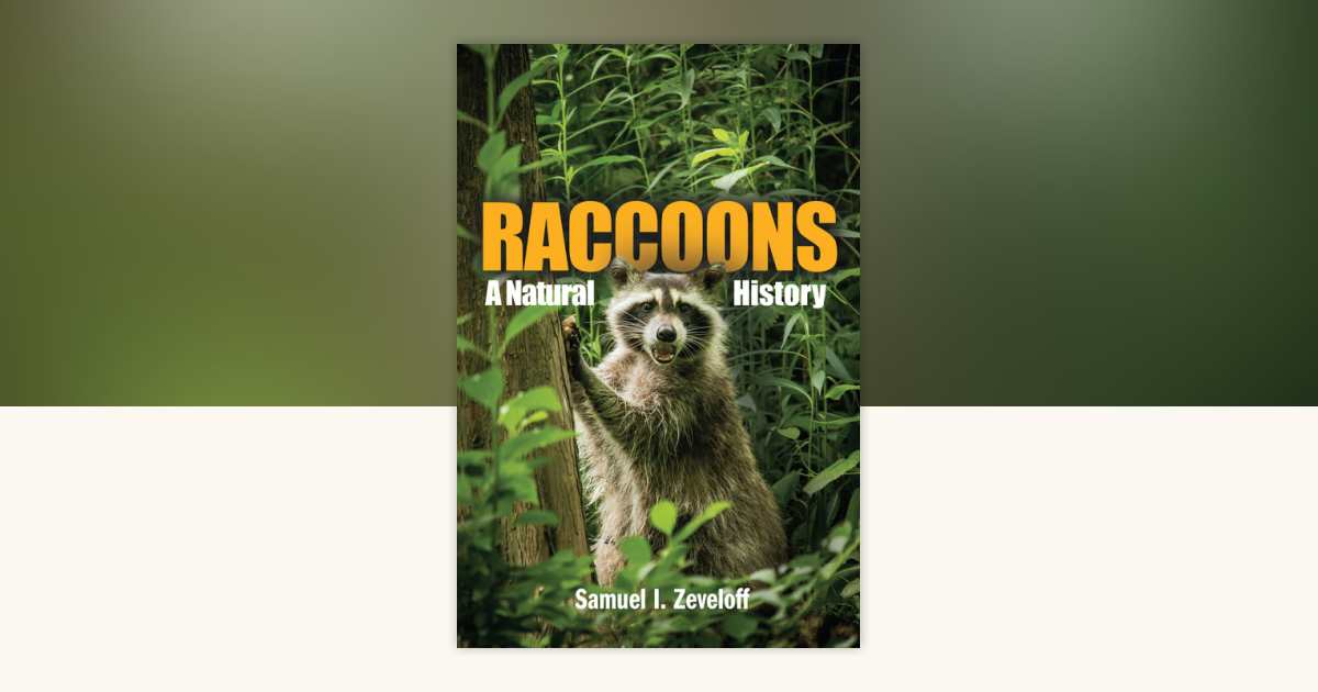Raccoons by Samuel I. Zeveloff: 9781588340337 | PenguinRandomHouse