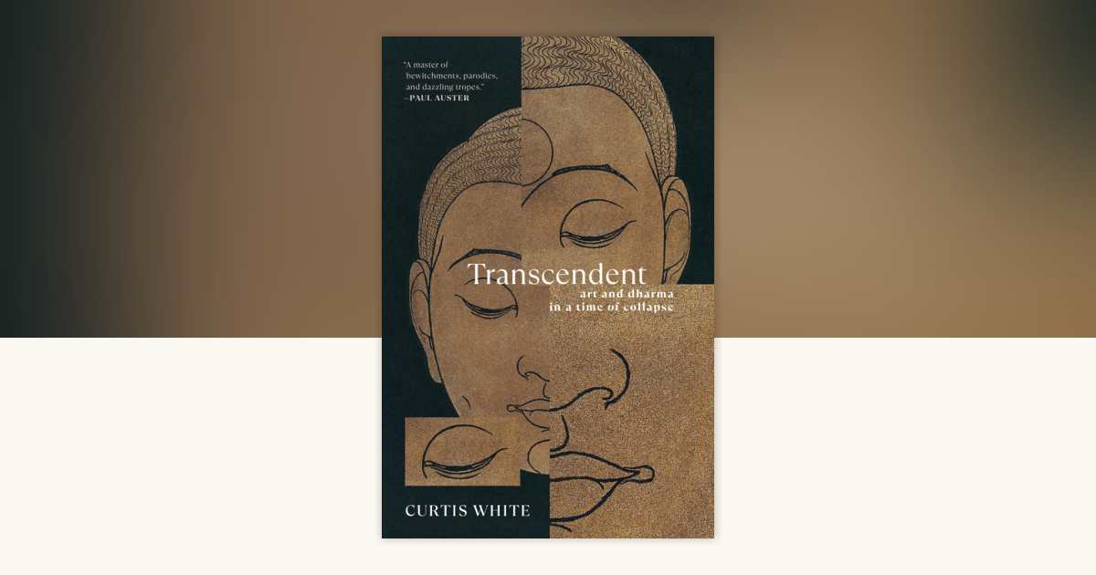 洋書 Kant's Doctrine Transcendental Illusion Kant's Doctrine of Transcendental Illusion (Modern European