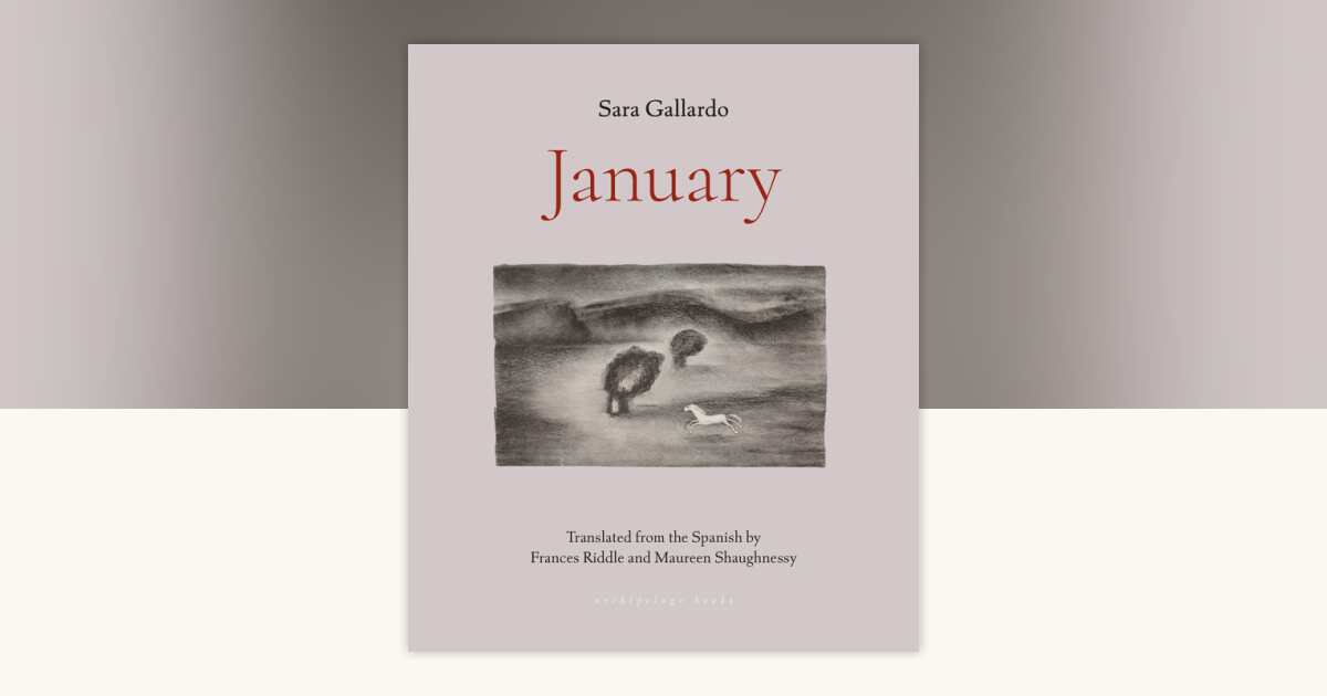 January by Sara Gallardo: 9781953861641 | PenguinRandomHouse.com: Books